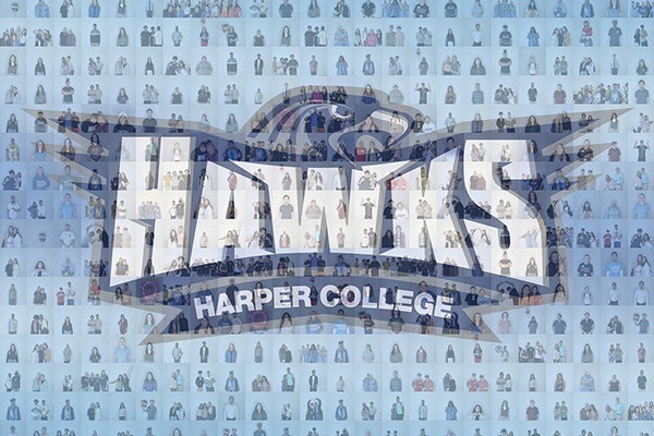 photo mosaic wall rental